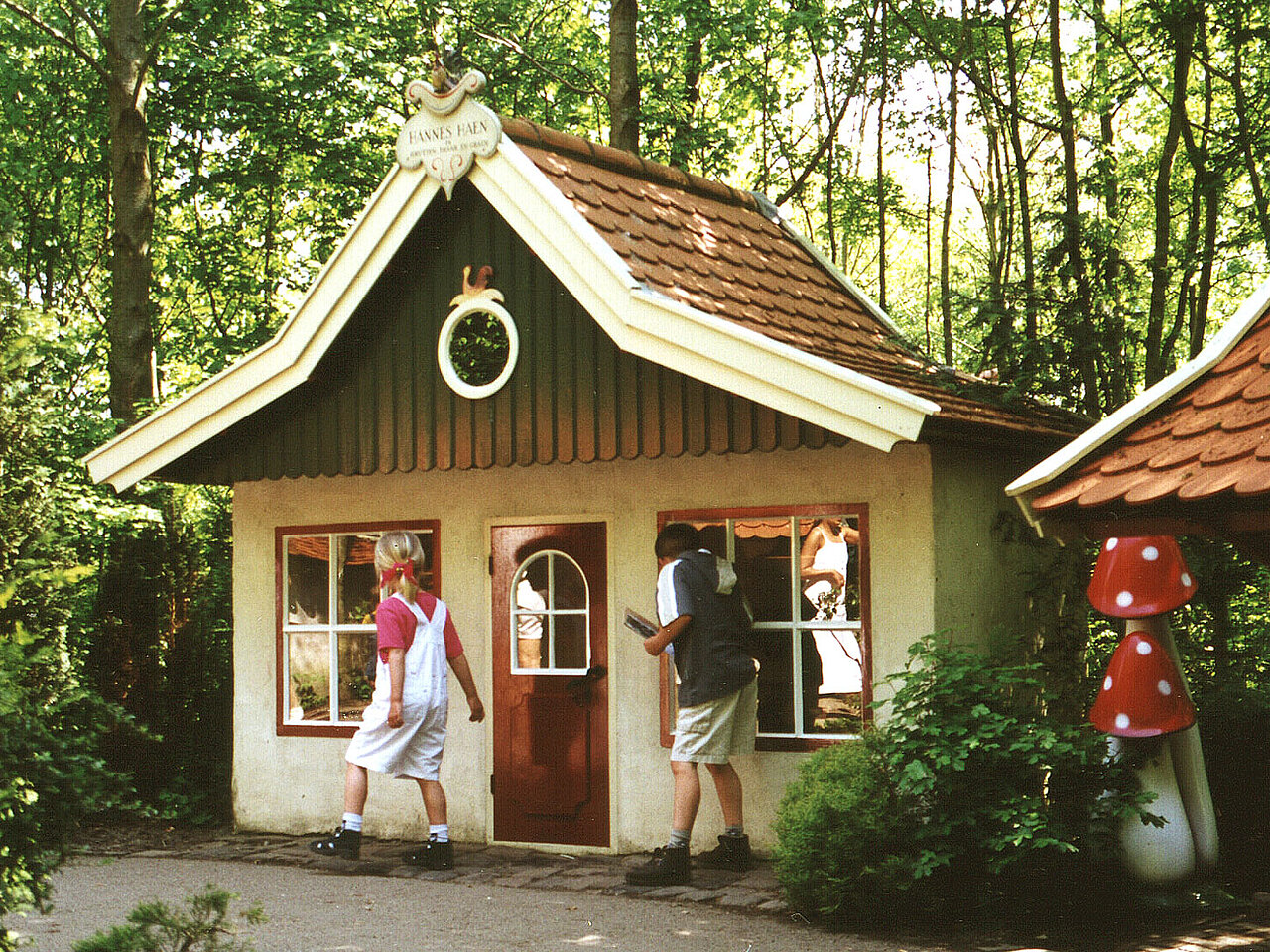 De winkel van Hannes Haen